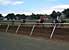 horse racing