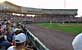 rox stadium