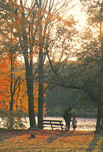 photo of park